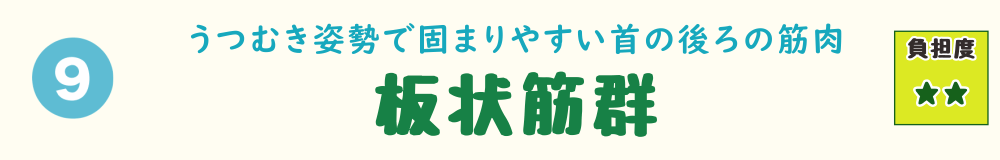 9位：板状筋群。前かがみ姿勢で緊張しやすい、首から背中上部にかけての筋肉群を紹介するバナー画像