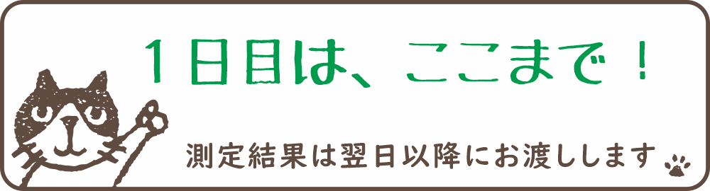 姿勢測定の1日目はここまで！　測定の結果は翌日以降にお渡しできます。