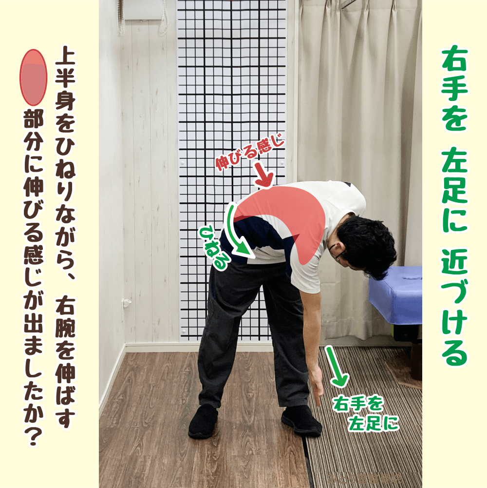 （ステップ2）体を前に倒し、左方向にねじりながら右手を左足に伸ばすストレッチ動作