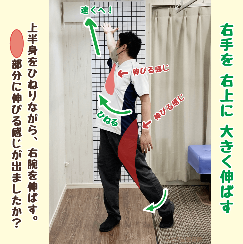 （ステップ3）上体を起こして背中を反らし、右方向にねじりながら右手を上に伸ばすストレッチ動作