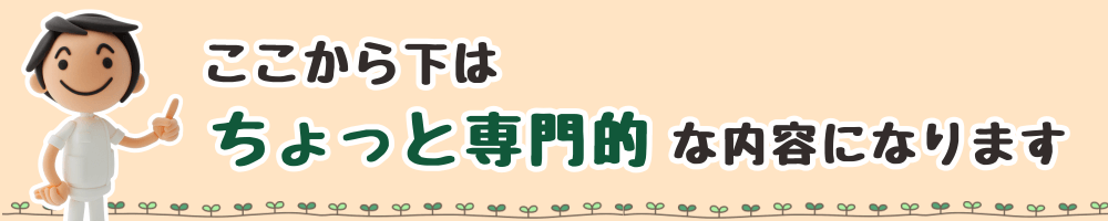 ここから下はちょっと専門的な内容になります。