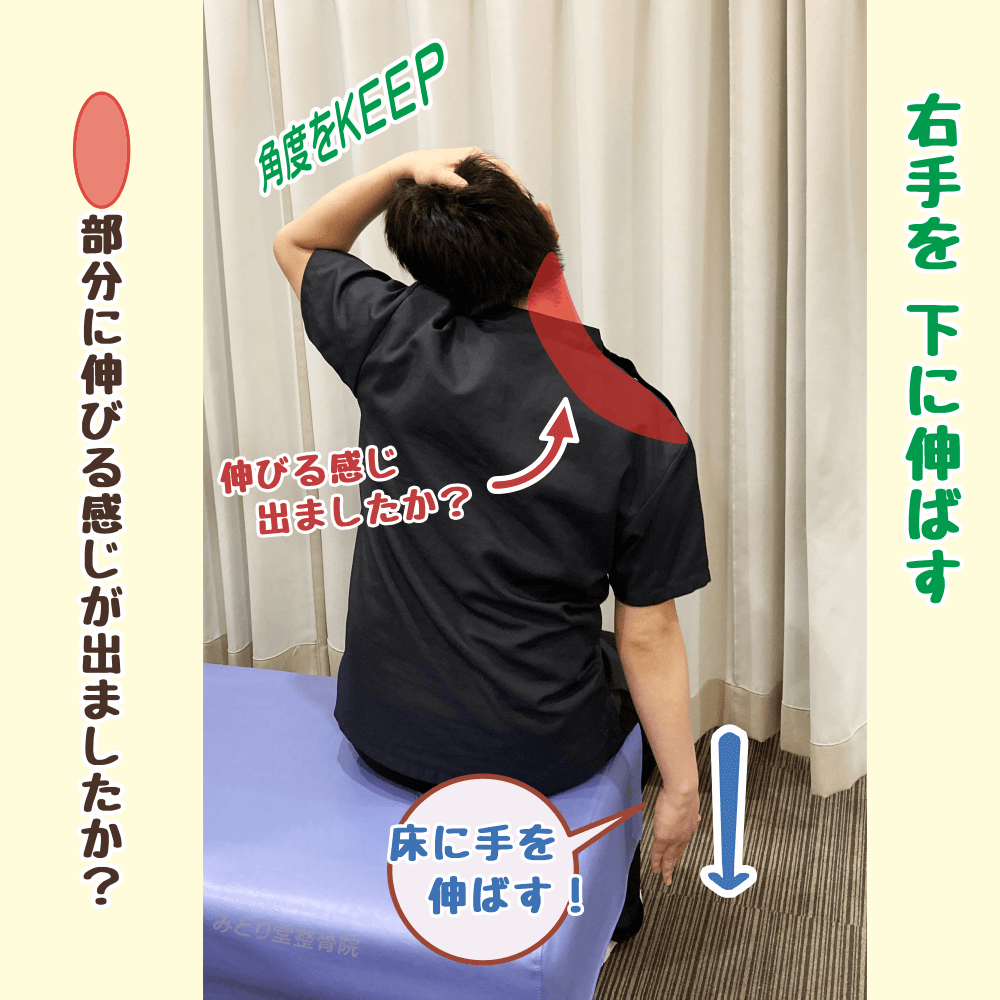 頭を左に傾けたまま右手を下に伸ばし、僧帽筋や首まわりを伸ばすストレッチ
