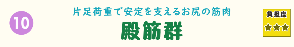 10位:殿筋群。片足荷重で安定を支えるお尻の筋肉「殿筋群」を紹介するバナー画像