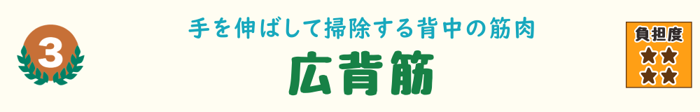 3位:広背筋。手を伸ばして掃除をする動作で使う背中の筋肉「広背筋」を紹介するバナー画像