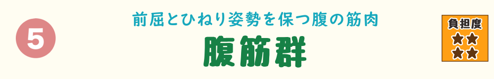 5位:腹筋群。前屈やひねり姿勢を支える腹の筋肉「腹筋群」を紹介するバナー画像