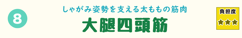 8位:大腿四頭筋。しゃがみ姿勢を支える太ももの筋肉「大腿四頭筋」を紹介するバナー画像