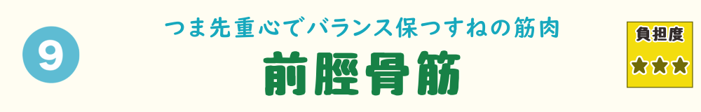 9位:前脛骨筋。つま先立ちでバランスを保つ脛の筋肉「前脛骨筋」を紹介するバナー画像